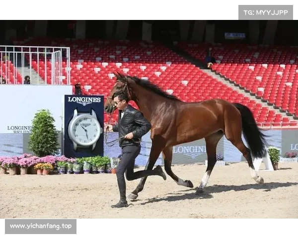 北京国际马术大师赛10月亮相鸟巢 亚洲顶级骑手同台竞技精彩纷呈
